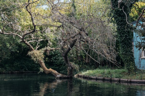 Alliance Créative : La Virologie et la Biotechnologie au Cœur de l'Innovation Santé